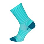 SGX Aqua Stripes socks