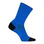 SGX Royal Stripes socks