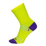SGX Yellow Stripes socks